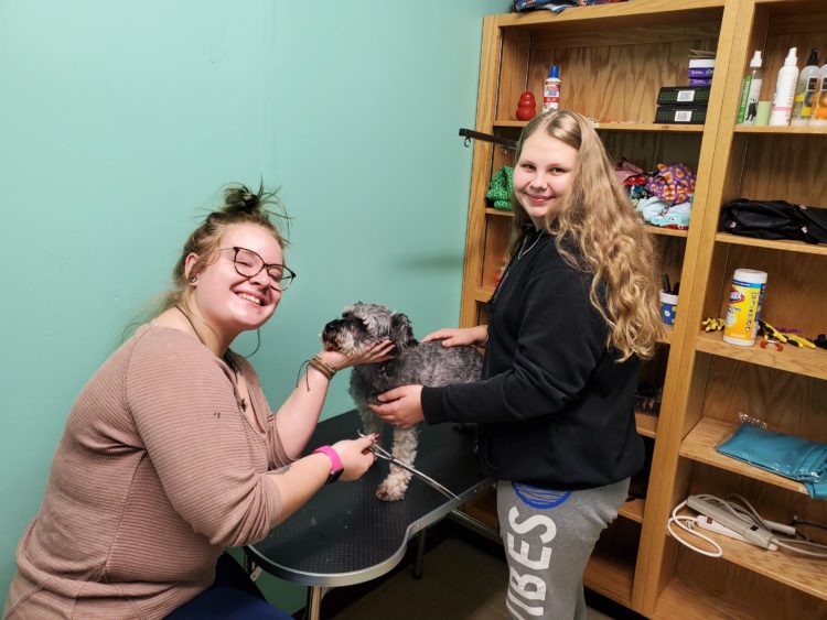 Students learn animal care through veterinary assistant program