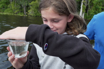 Student preparing to release fish into St. Johns River