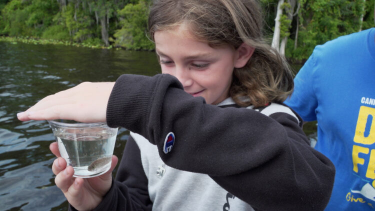 Student preparing to release fish into St. Johns River