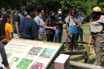 Students visit Kingsley plantation