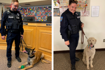 Side by side shots of K9 officers Maverick and LEO with their handlers.